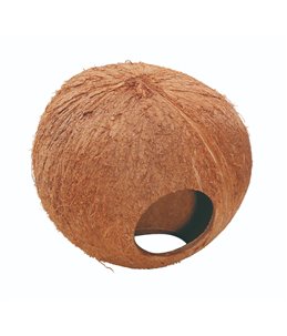 Coconut Huis