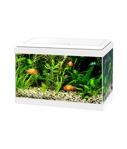 Aquarium aqua 20 led