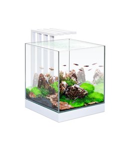 Aquarium nexus pure 25 led