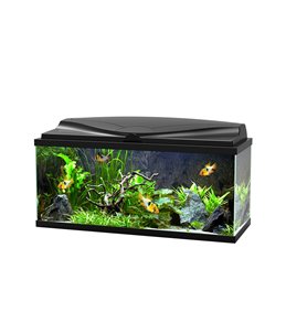 Aquarium 80 led cf80