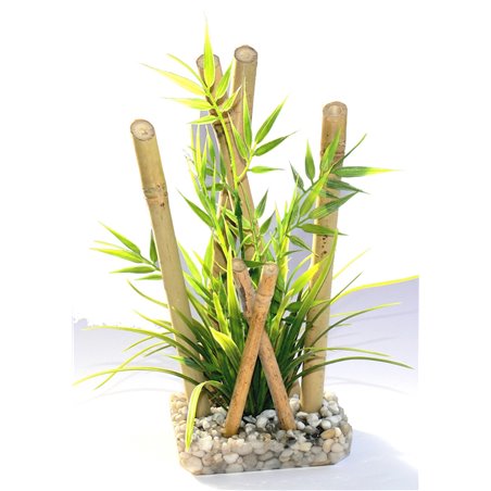 Sydeco bamboo large plants