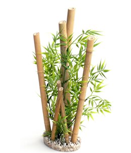 Sydeco bamboo xl plants