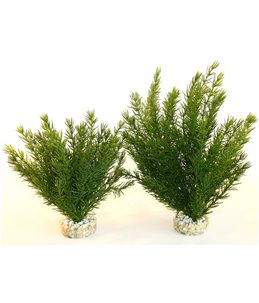 Sydeco club moss large