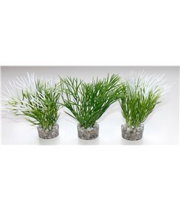 Sydeco nano green plant
