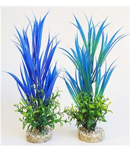 Sydeco aqua blue ocean plants
