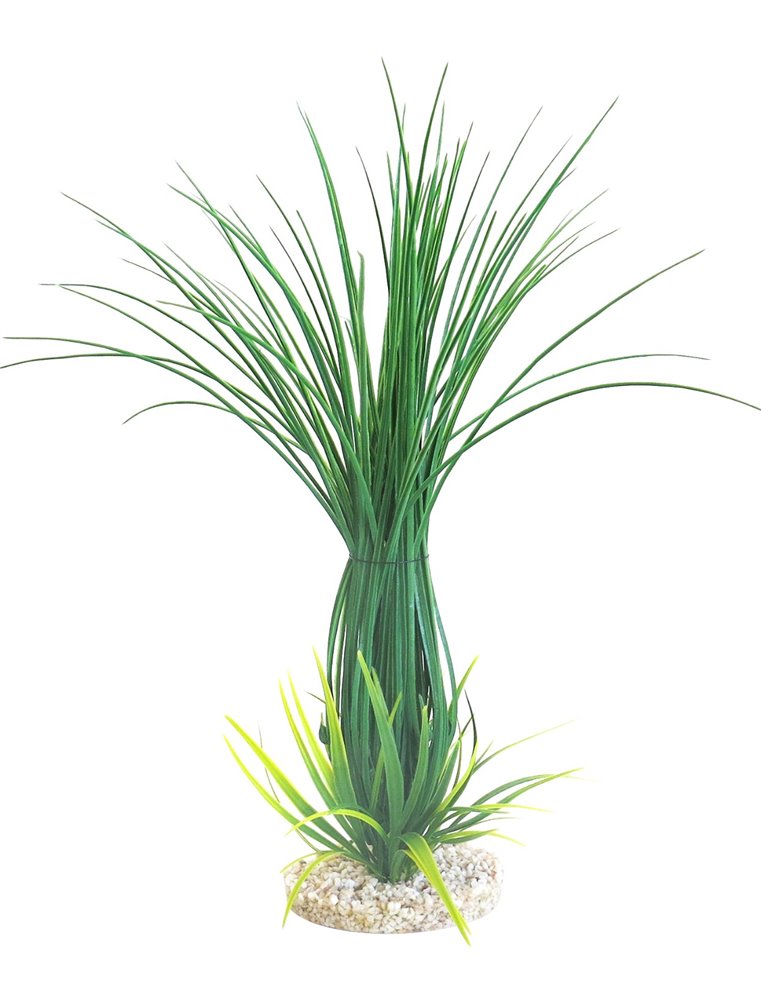 Sydeco tall grass clusters