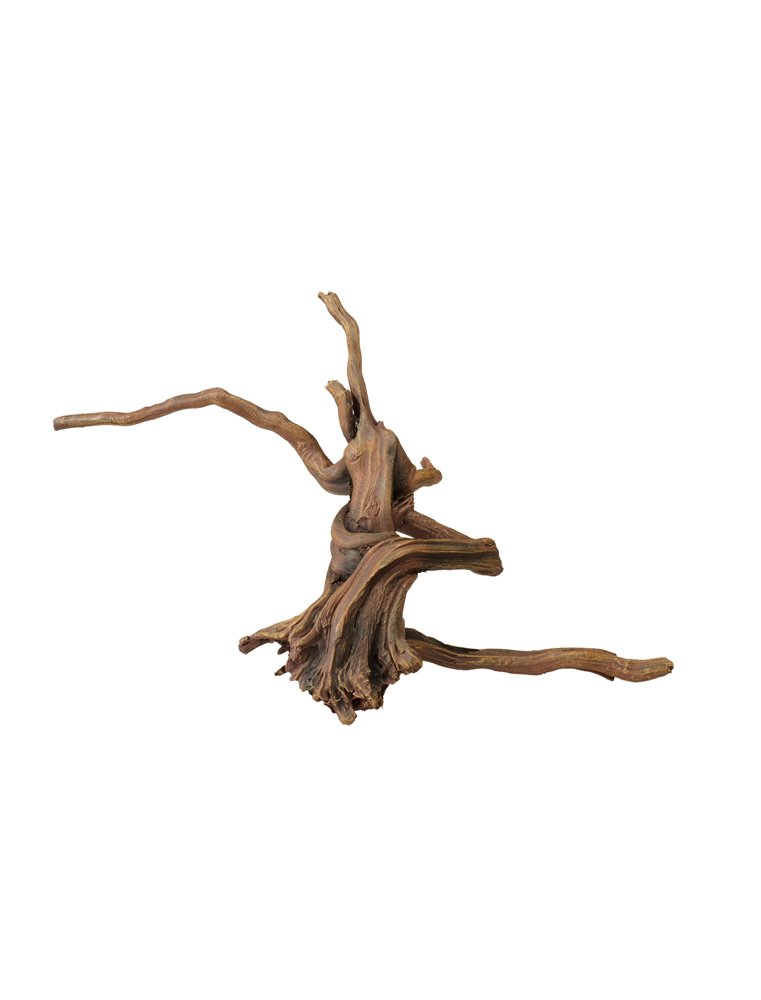 Driftwood | 3