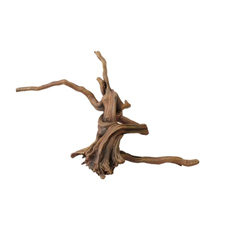 Driftwood | 3