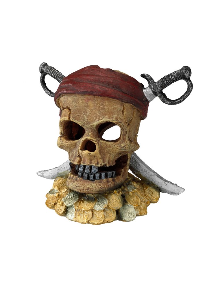 Pirate skull sword head