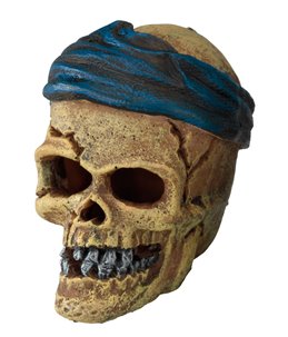 Pirate skull headcrack