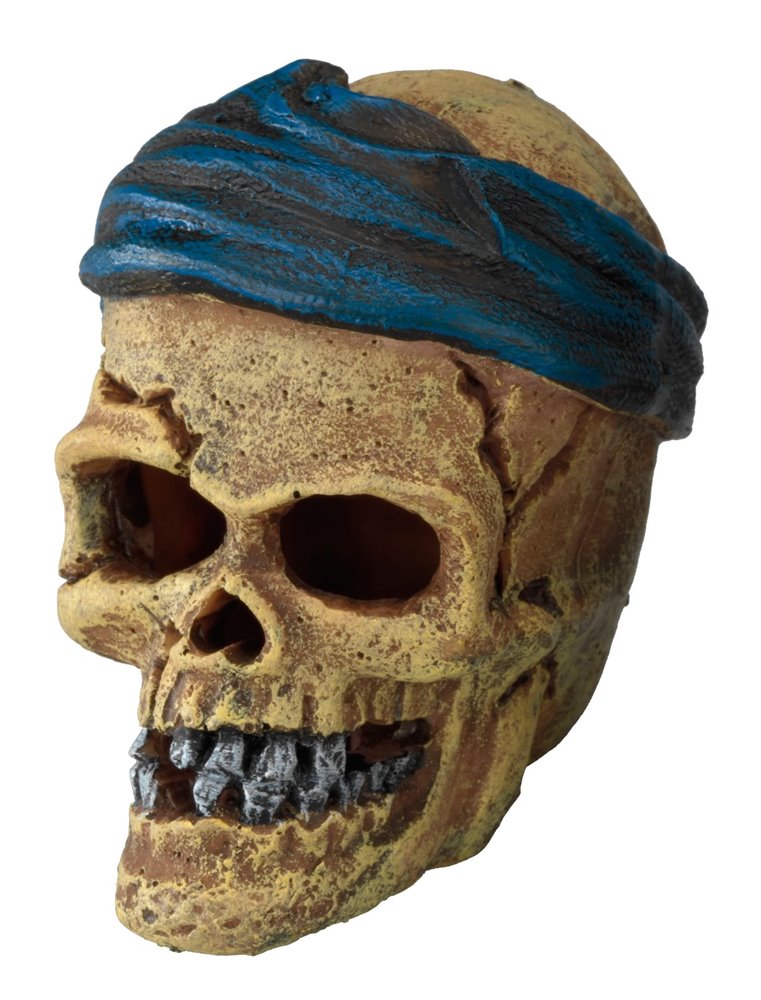 Pirate skull headcrack