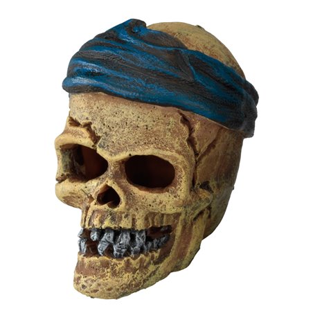 Pirate skull headcrack