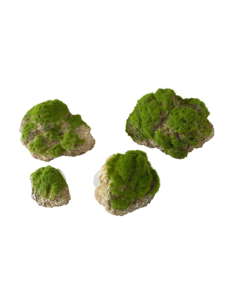 Moss stone with suction cup