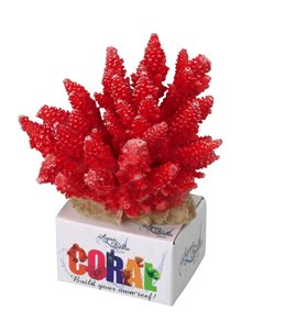 Coral module acropora