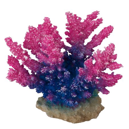 Koraal acropora - 15x7x13CM