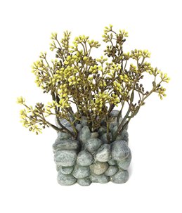 Fluval chi ornament plant op kiezels