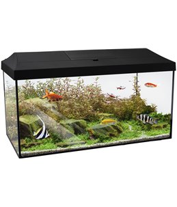 Aquariumset mindoro 60cm