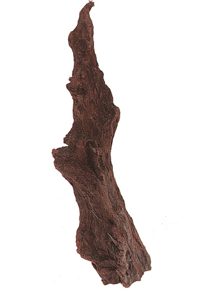 Driftwood - s - 12/25 cm