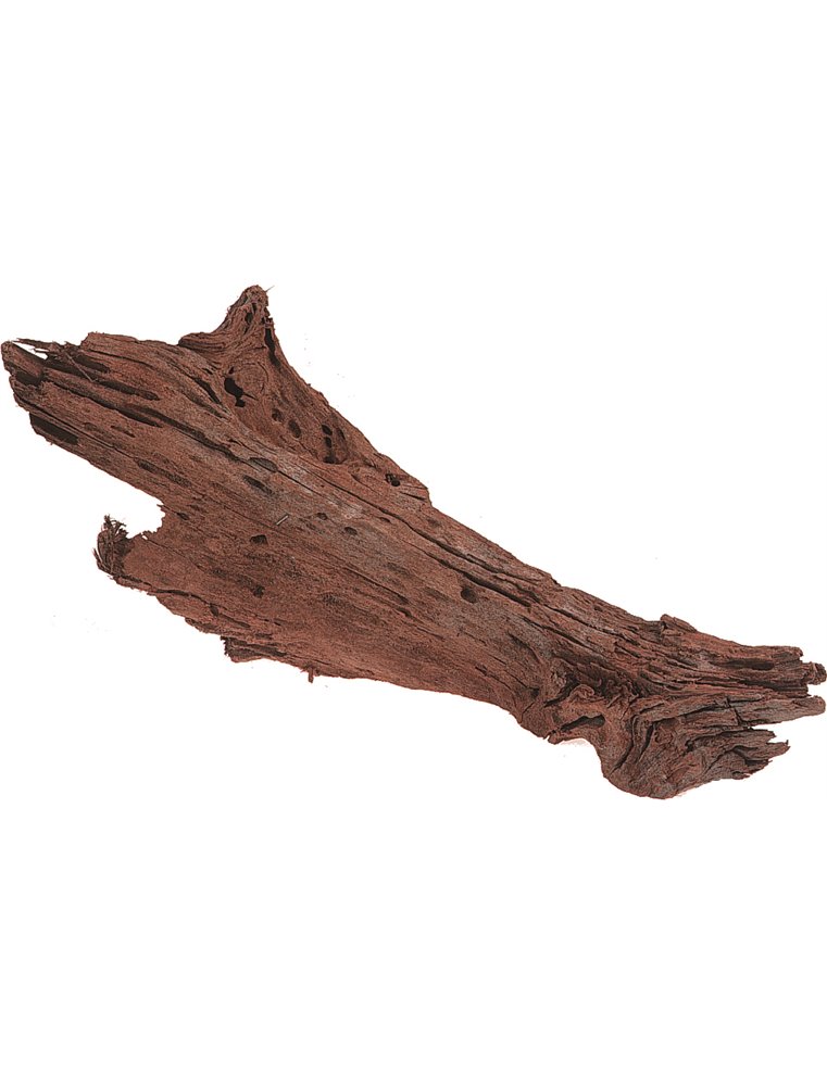 Driftwood - m - 30/45 cm