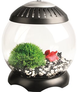 Nano aquarium sphere 5l