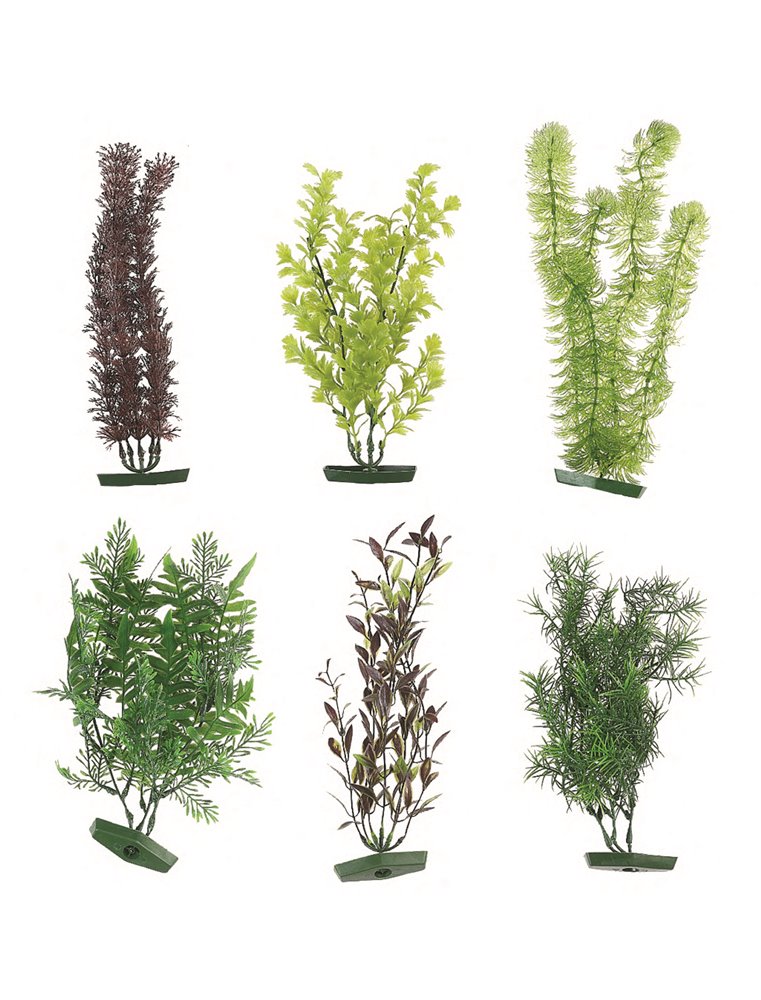 Aquarium plant assortiment - l