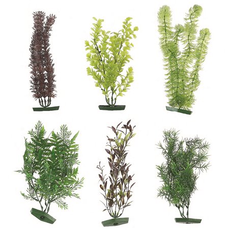 Aquarium plant assortiment - l 