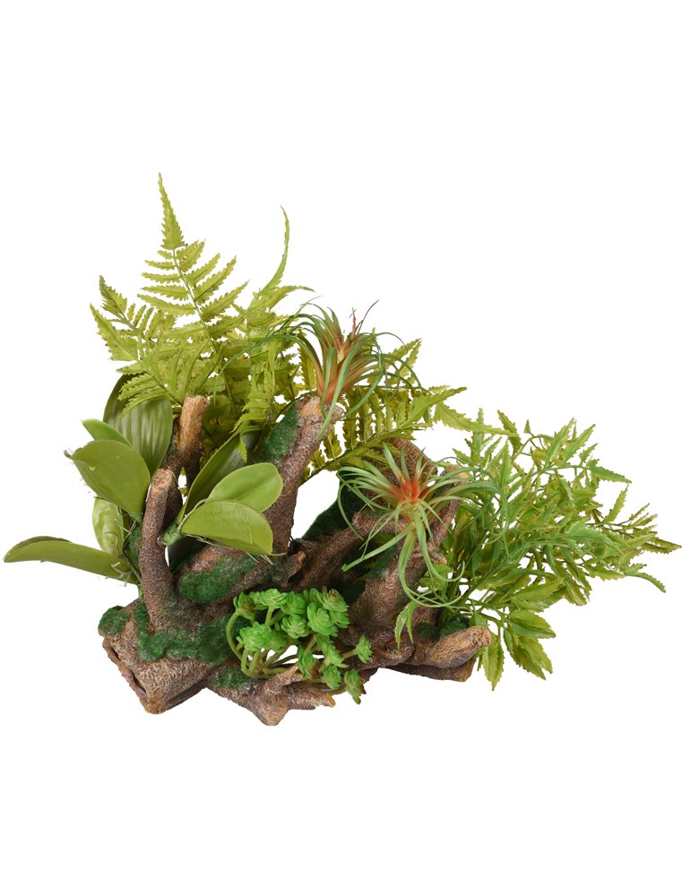 Ad dio wortels+plant 36x31x33cm