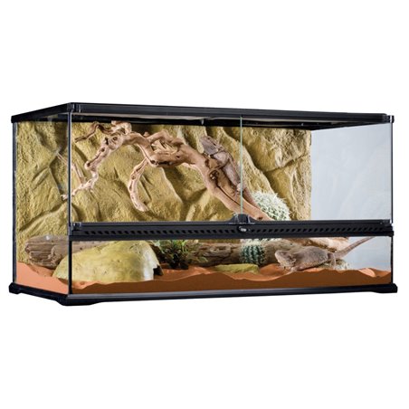 Exo Terra glas terrarium incl achterwand