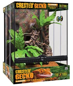 Ex crested gecko kit