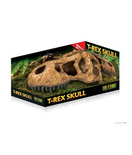 Ex t-rex skull fossiele schuilplaats