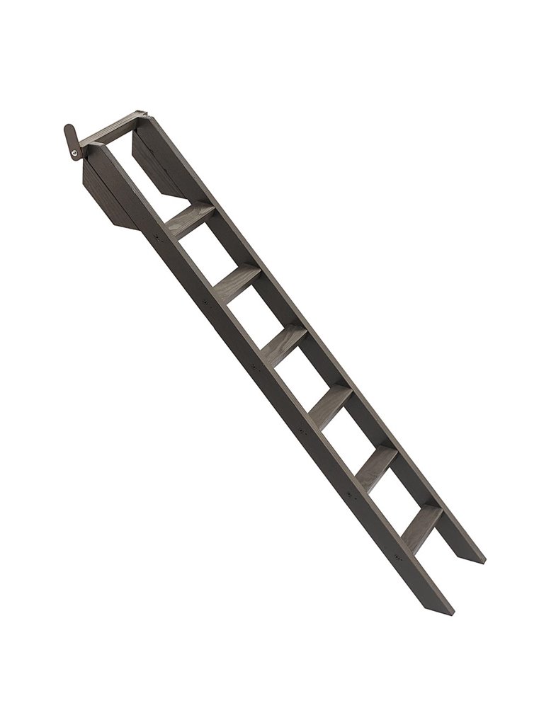 LADDER HAPPY FARM 120