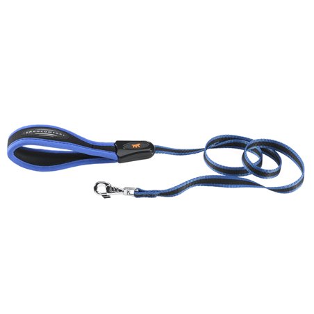 Ferplast hondenriem / leiband ergocomfort nylon blauw - 120cm x 20mm