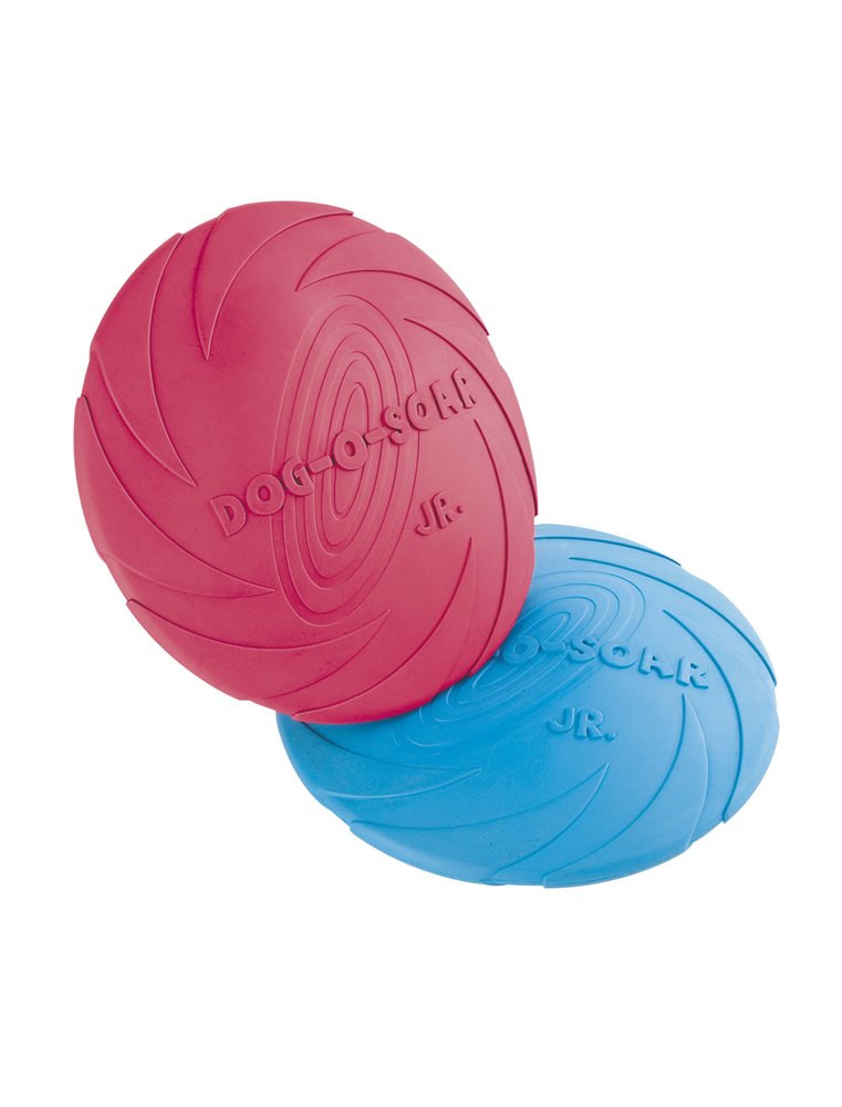 PA 5534 FRISBEE