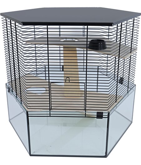 Interzoo hamsterkooi Vision, hexo XL zwart - 58,5 x 58,5 x 53cm