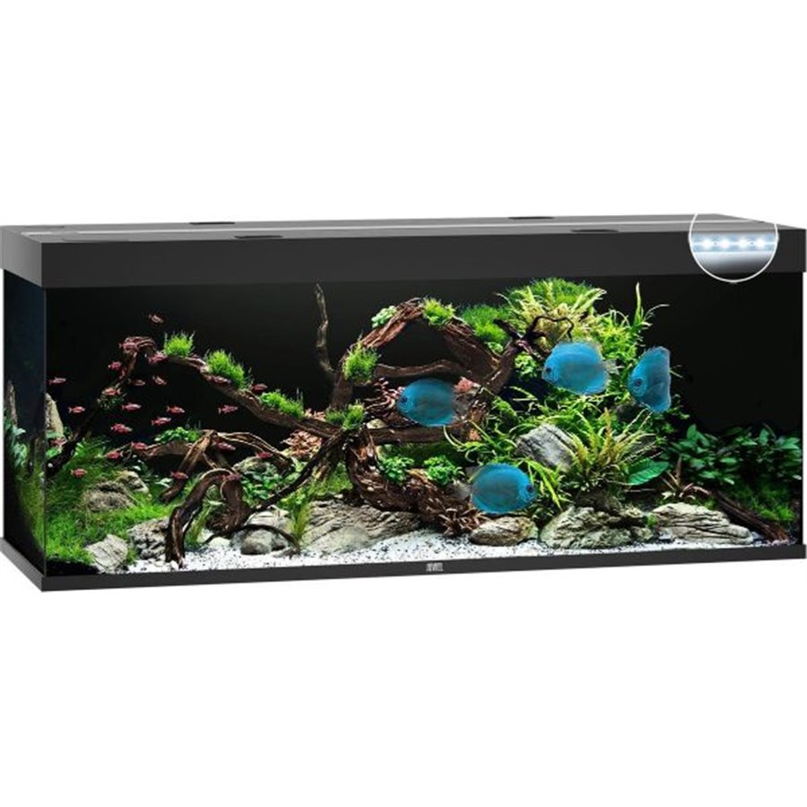 Juwel aquarium rio 450 led