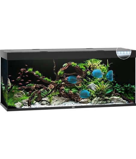 Juwel aquarium rio 450 led