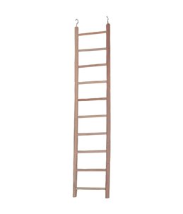Hout. papeg.ladder escada 10 treden 