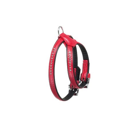 Alp hondentuig monte carlo rood 40-47cm 14mm m-l