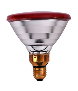 Philips PAR IR lamp 175 Watt rood