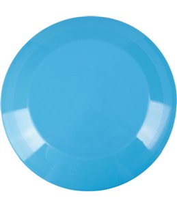 Plastic frisbee