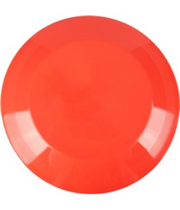 Plastic frisbee