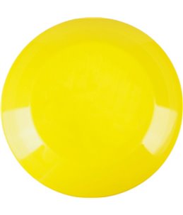 Plastic frisbee