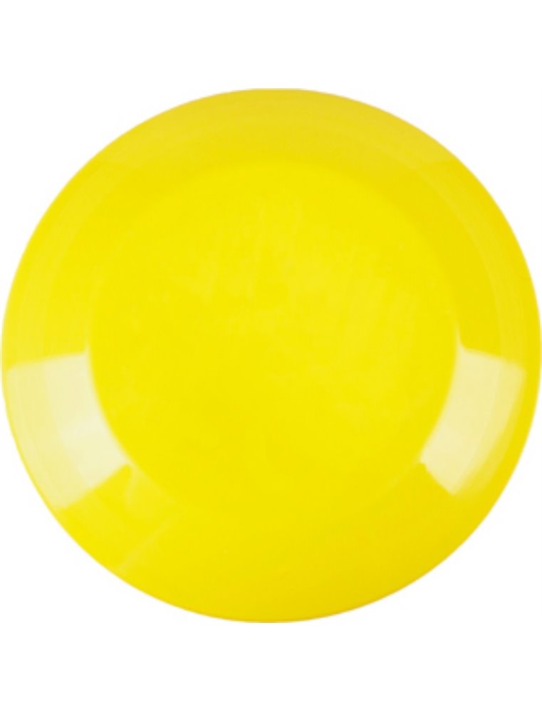 Plastic frisbee