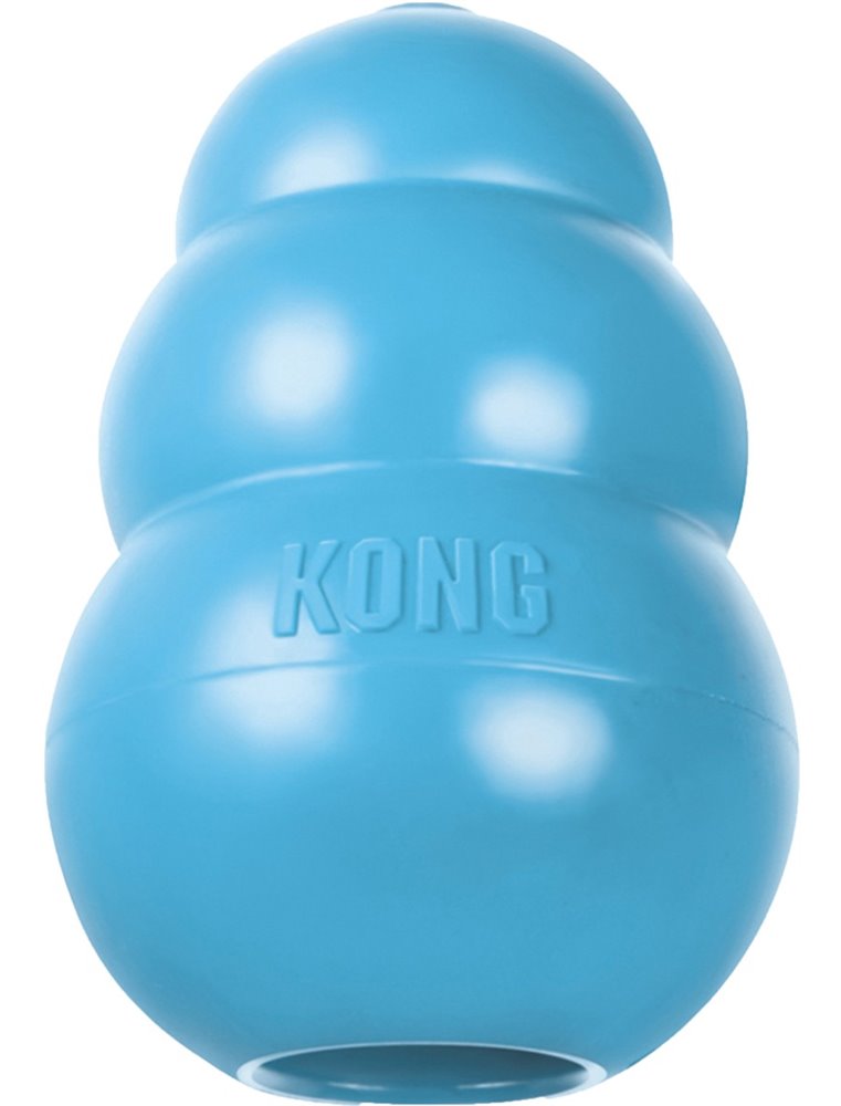 Kong puppy - l